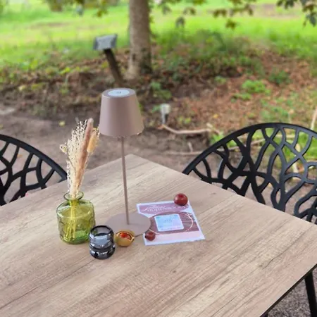 Schlosshotel Hohenbocka 4*