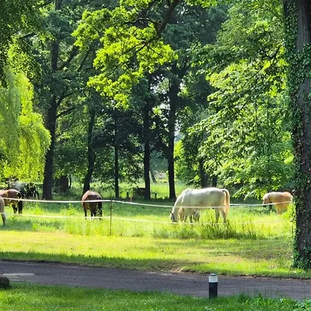 Schlosshotel Hohenbocka Hotel