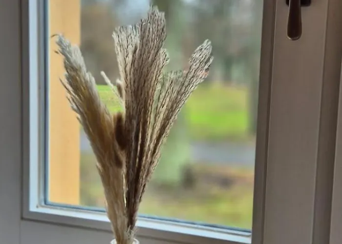 Schlosshotel Hohenbocka 4*